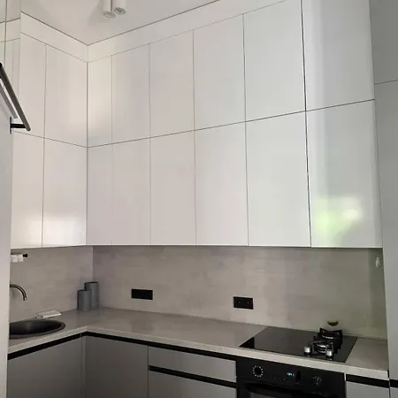 Domillion 2bdr New On Pilies St Wilna